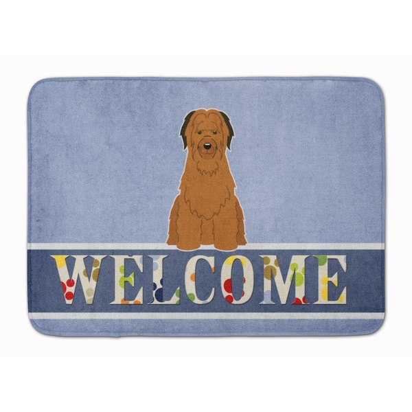 Carolines Treasures Briard Brown Welcome Machine Washable Memory Foam Mat BB5663RUG - main